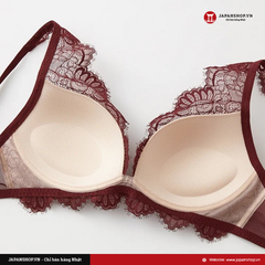 Áo lót nữ ren Sweet Bra Gunze JB6029H