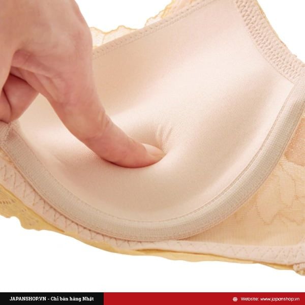 Áo lót nữ ren có gọng Tuché Gunze JB6025H