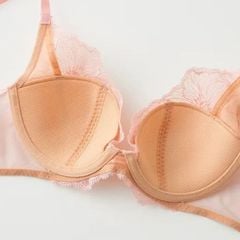 Áo lót nữ ren có gọng More More Sheer Gunze JB3025H