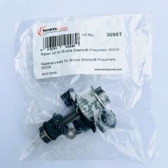 Bộ bánh răng nón và nguyên cụm cho Bristle blaster khí nén (30951)