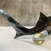  Mô hình Dunkleosteus pnso studio chính hãng tỷ lệ 1:35 