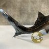 Mô hình Dunkleosteus pnso studio chính hãng tỷ lệ 1:35