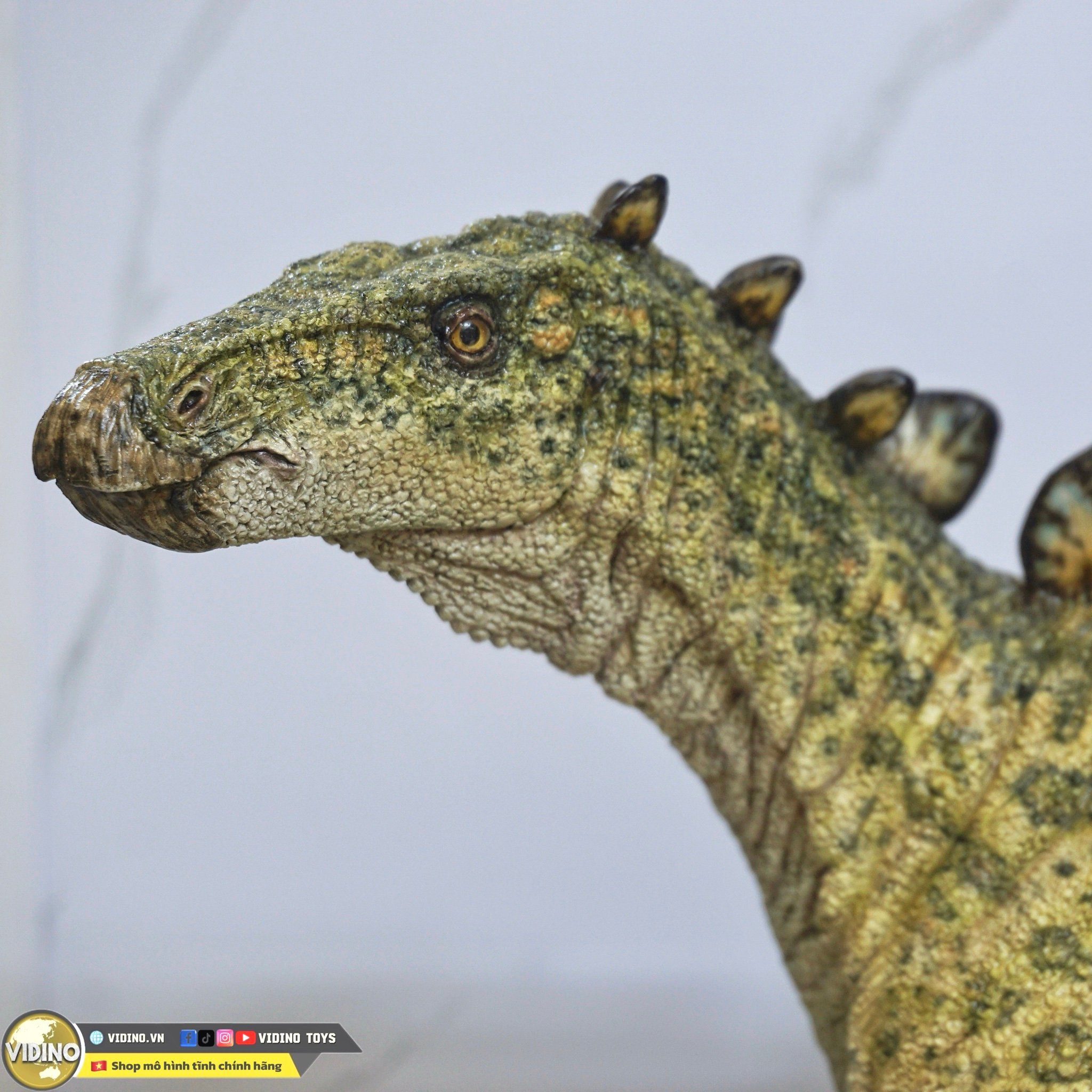  Mô hình stegosaurus baby  1/1 Life size by shanefounker. 