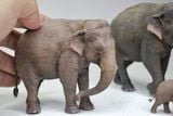 Mô hình động vật voi châu á Declay studio tỷ lệ 1/35 & 1/18. 