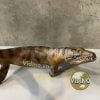  Mô hình Dakosaurus pnso chính hãng tỷ lệ 1:35 