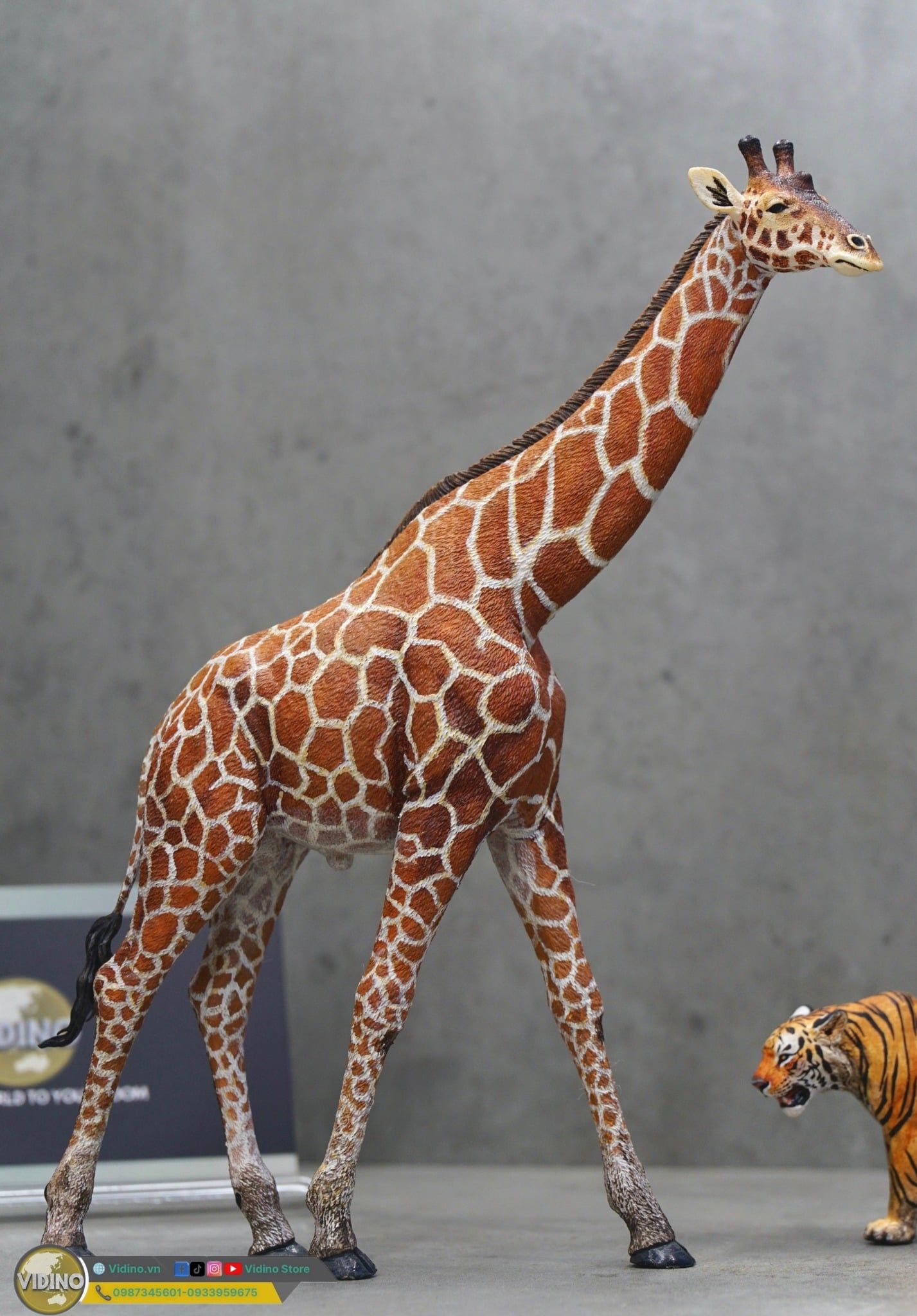  Mô hình động vật hưu cao cổ châu phi Wanshou studio tỷ lệ 1/35 | 𝐕𝐈𝐃𝐈𝐍𝐎.𝐕𝐍 