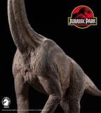  Mô hình Khủng long Brachiosaurus Wdragon studio 1:35. 
