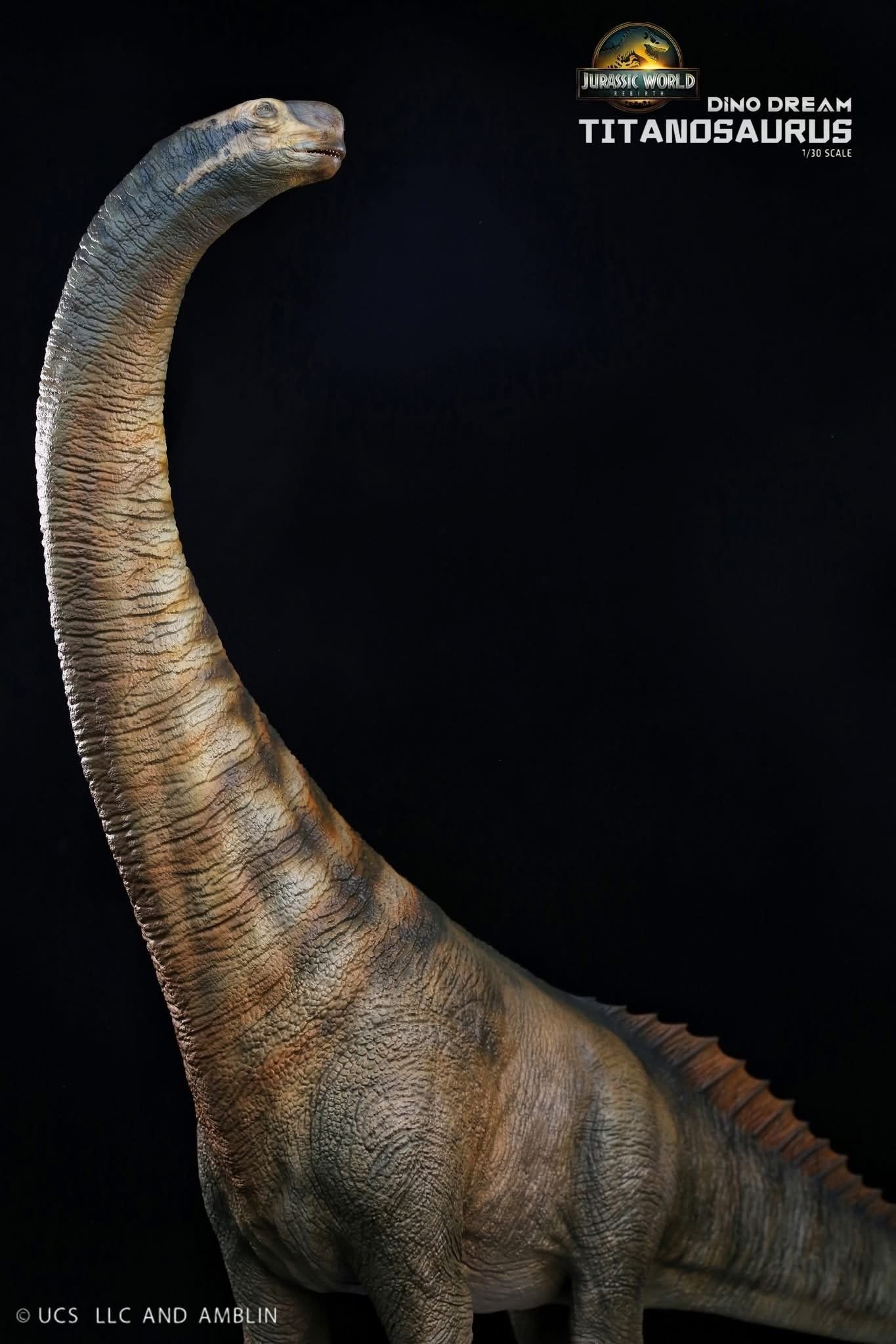  Mô hình Titanosaurus Dino Dream Studio. 