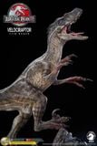  Mô hình Velociraptor bản quyền jurassic park 3 wdragon studio 
