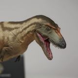  Mô hình khủng long Gorgosaurus pnso #71 