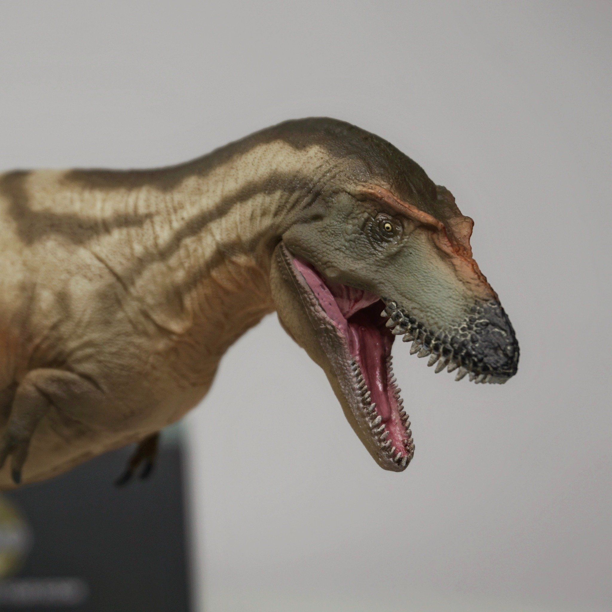  Mô hình khủng long Gorgosaurus pnso #71 