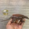  Mô hình Borealopelta PNSO studio chính hãng tỷ lệ 1:35 