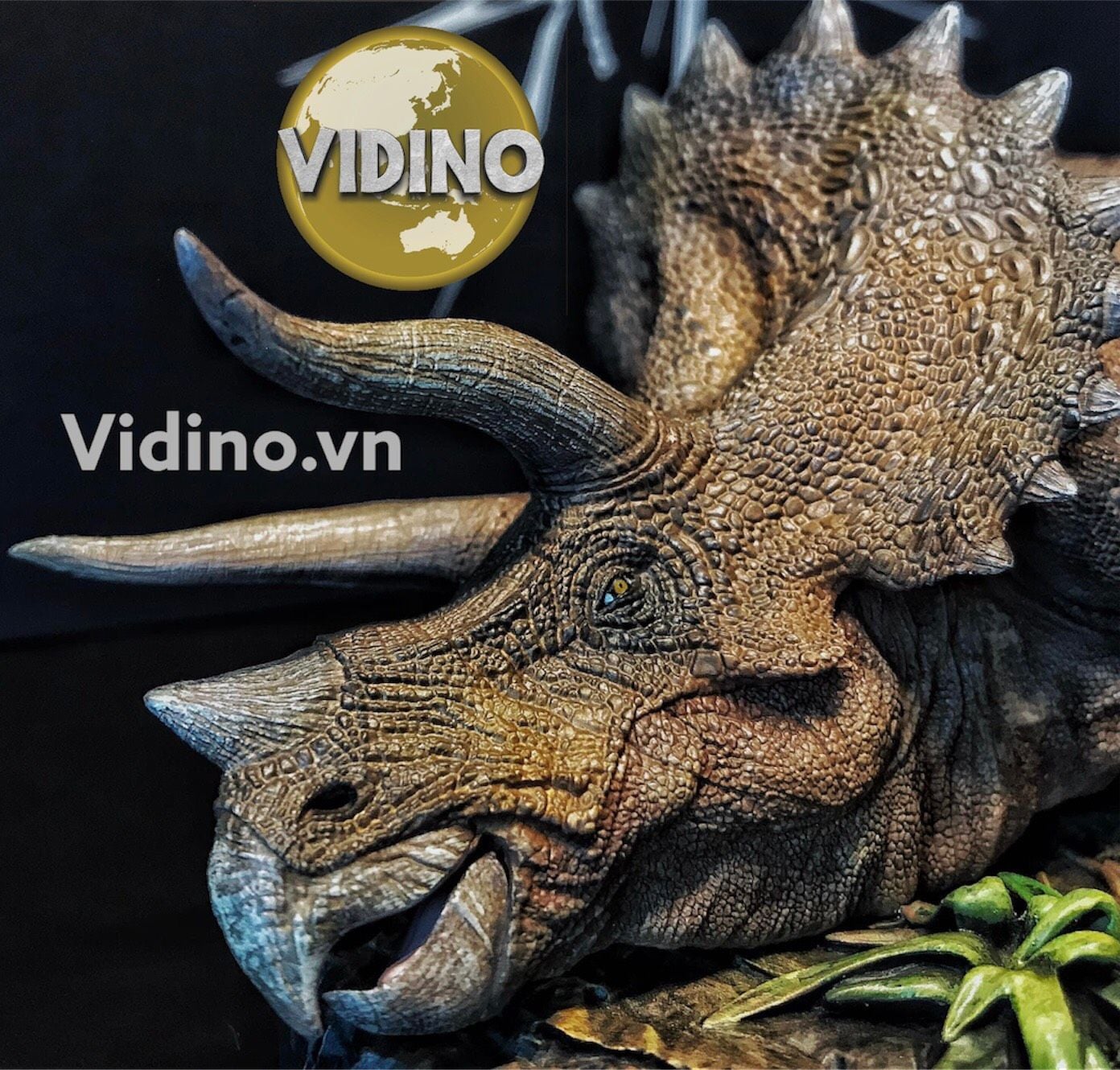  Mô hình Triceratop bệnh Nanmu Benxin Studio chính hãng tỷ lệ 1:35 (Limited) 