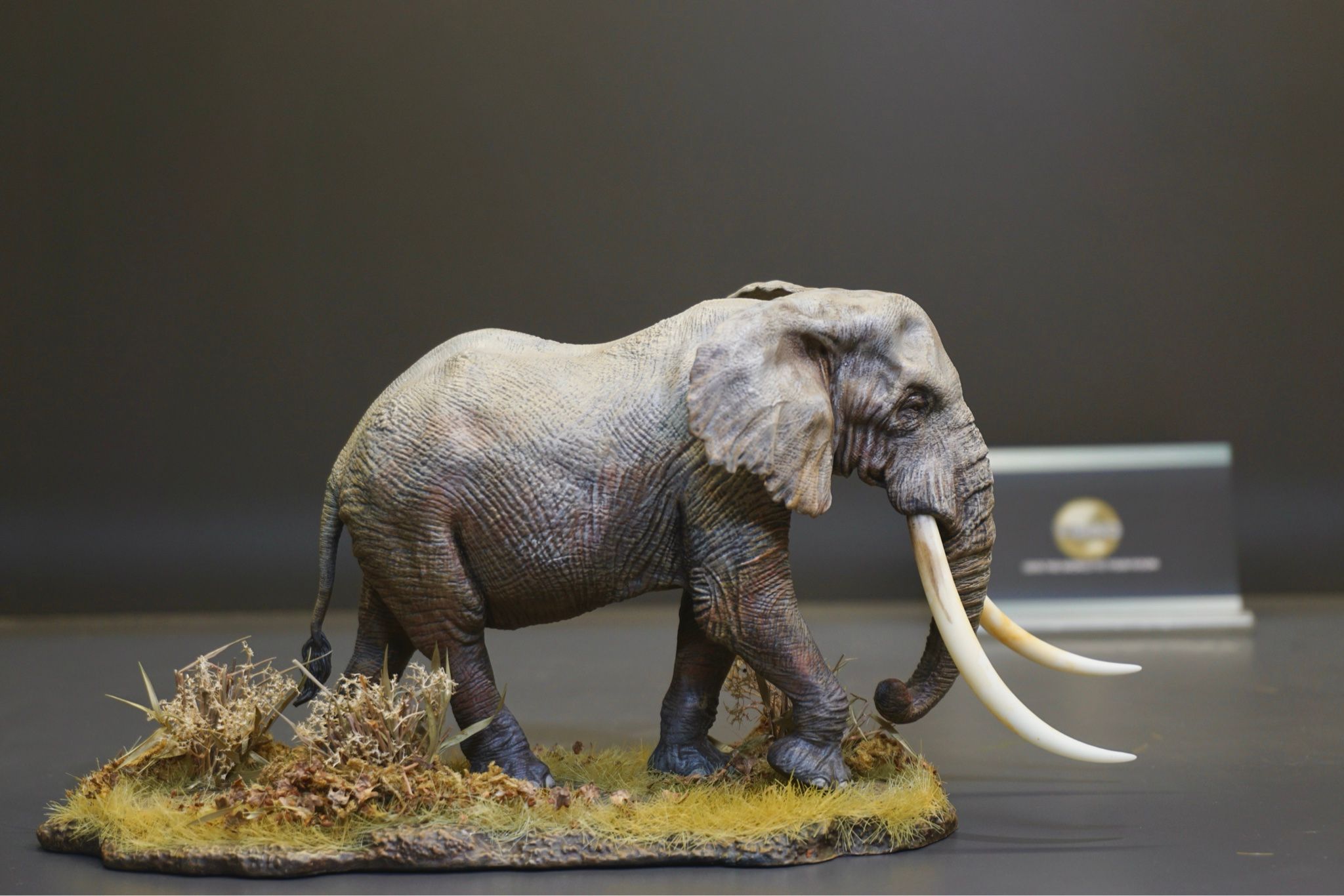  Mô hình Voi châu phi đồng cỏ  wanshou studio tỷ lệ 1/35. 