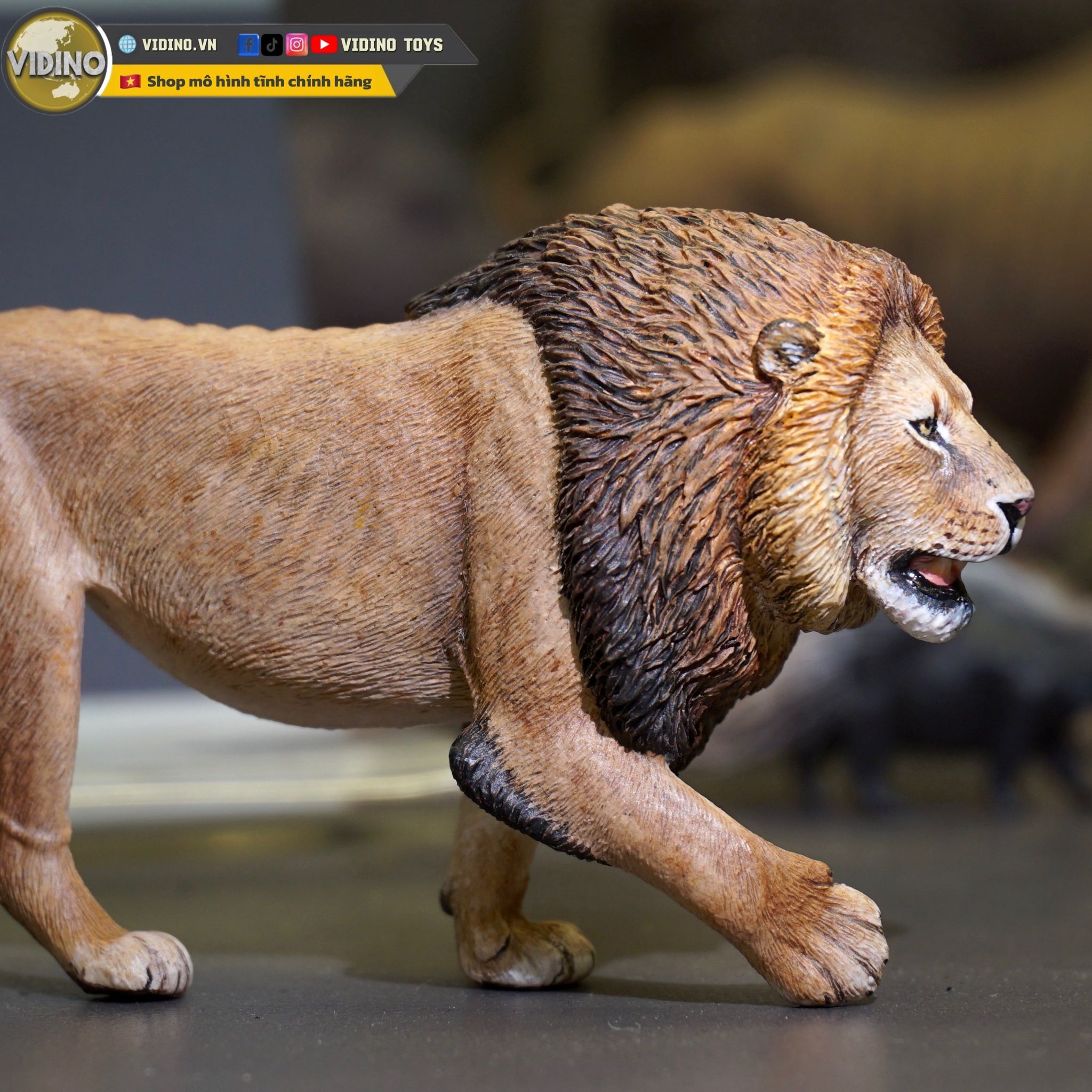  Mô hình động vật sư tử đực châu phi hunting studio tỷ lệ 1/35. 