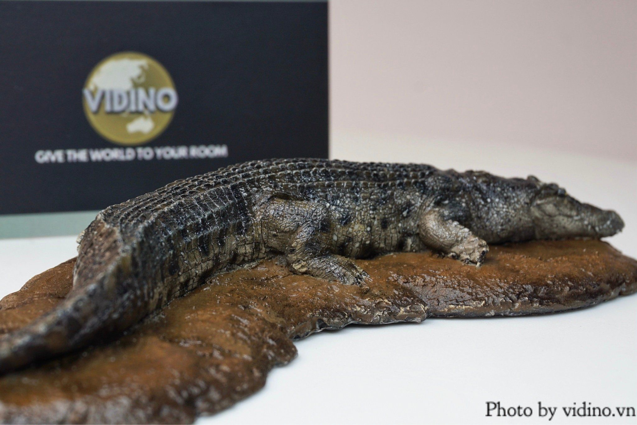  Mô hình cá sấu nước mặn Crocs Man studio tỷ lệ 1/35. 