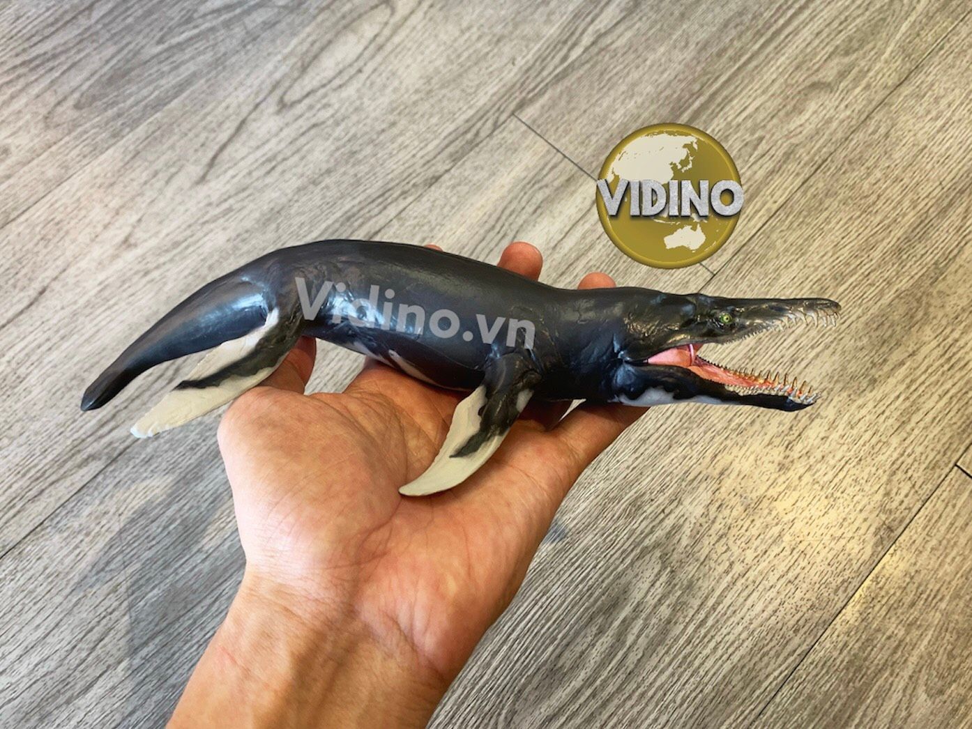  Mô hình khủng long Kronosaurus pnso studio chính hãng tỷ lệ 1/35 