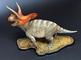  Mô hình khủng long Torosaurus declay studio. 