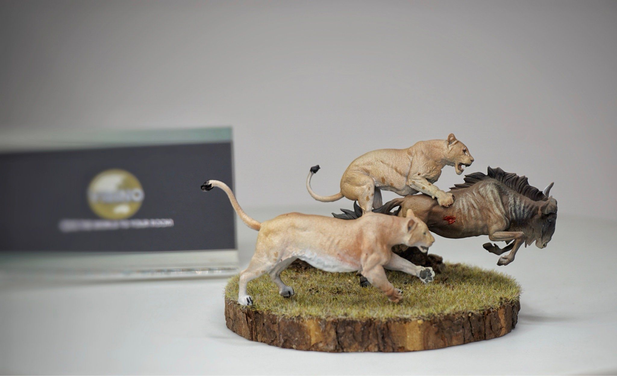  Mô hình động vật set sư tử cái săn linh dương đầu bò tỷ lệ 1/35. 