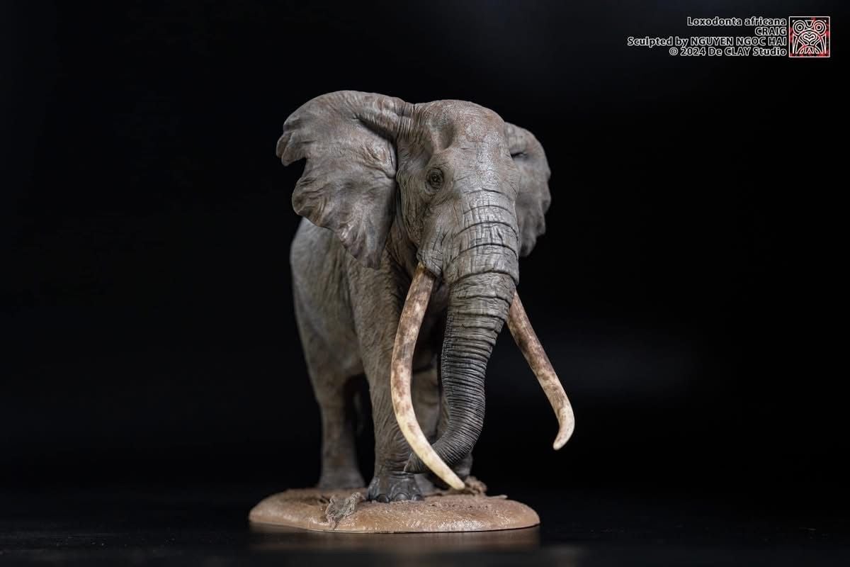  Mô hình động vật voi đồng cỏ Châu Phi chính hãng Declay studio. 
