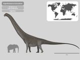  Mô hình khủng long to lớn nhất Argentinosaurus haolonggood tỷ lệ 1/35 