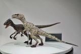  Mô hình khủng long Velociraptor có khớp jurassic park nanmu. 