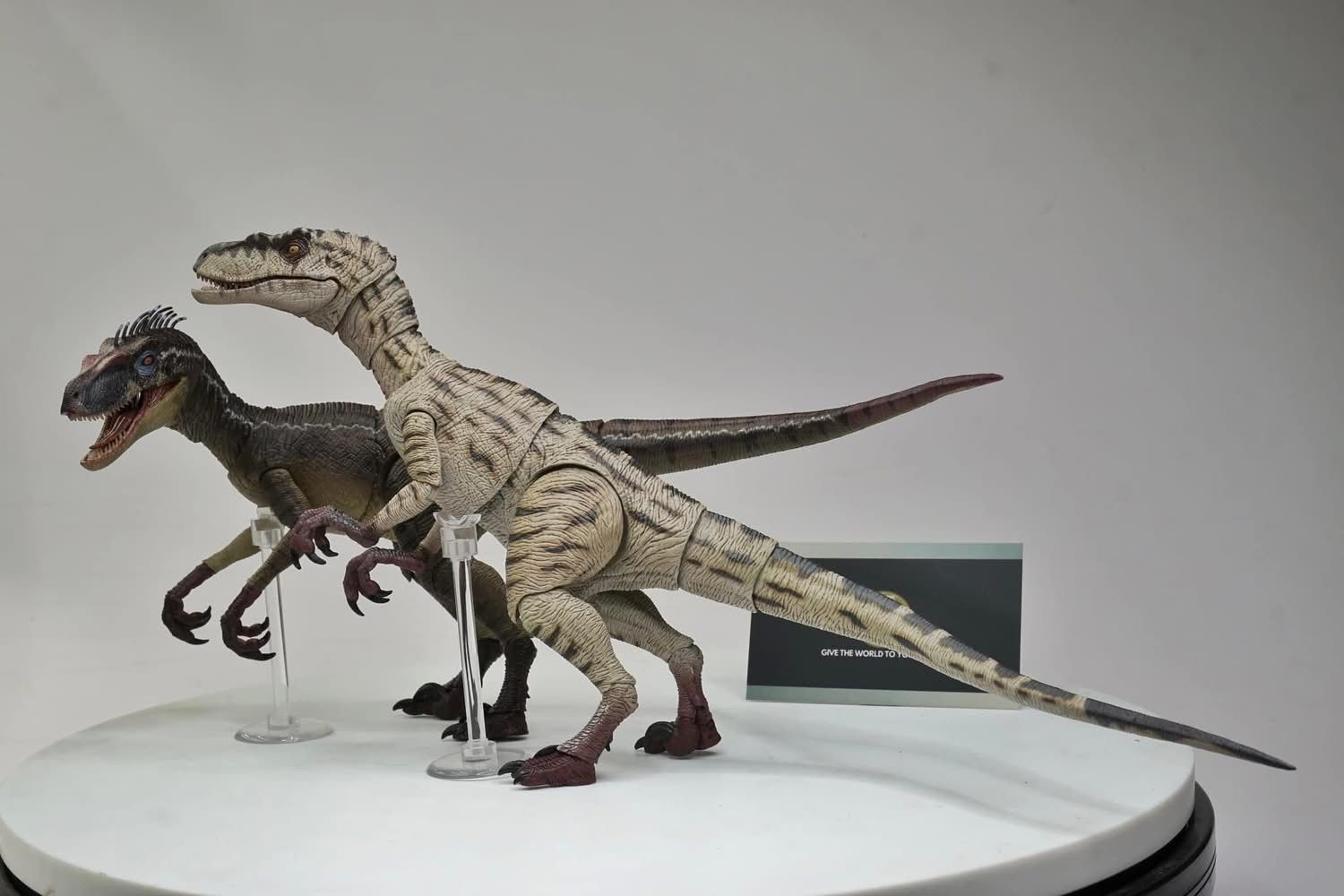  Mô hình khủng long Velociraptor có khớp jurassic park nanmu. 