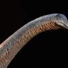  Mô hình khủng long Dreadnoughtus schrani scene hãng Musee 1/35 