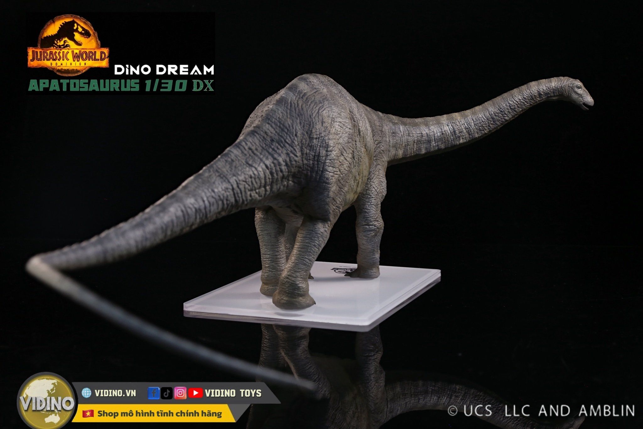 Mô hình Apatosaurus Dinodream bản quyền Universal Jurassic world. 