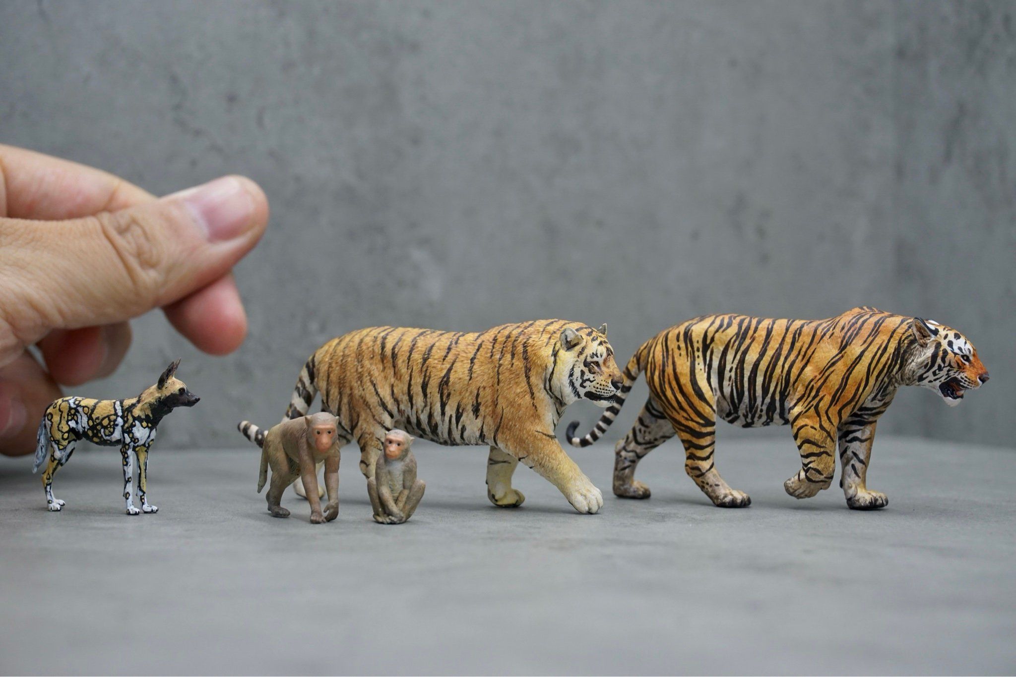  Mô hình động vật tiger siberia free exploration tỷ lệ 1/35. 