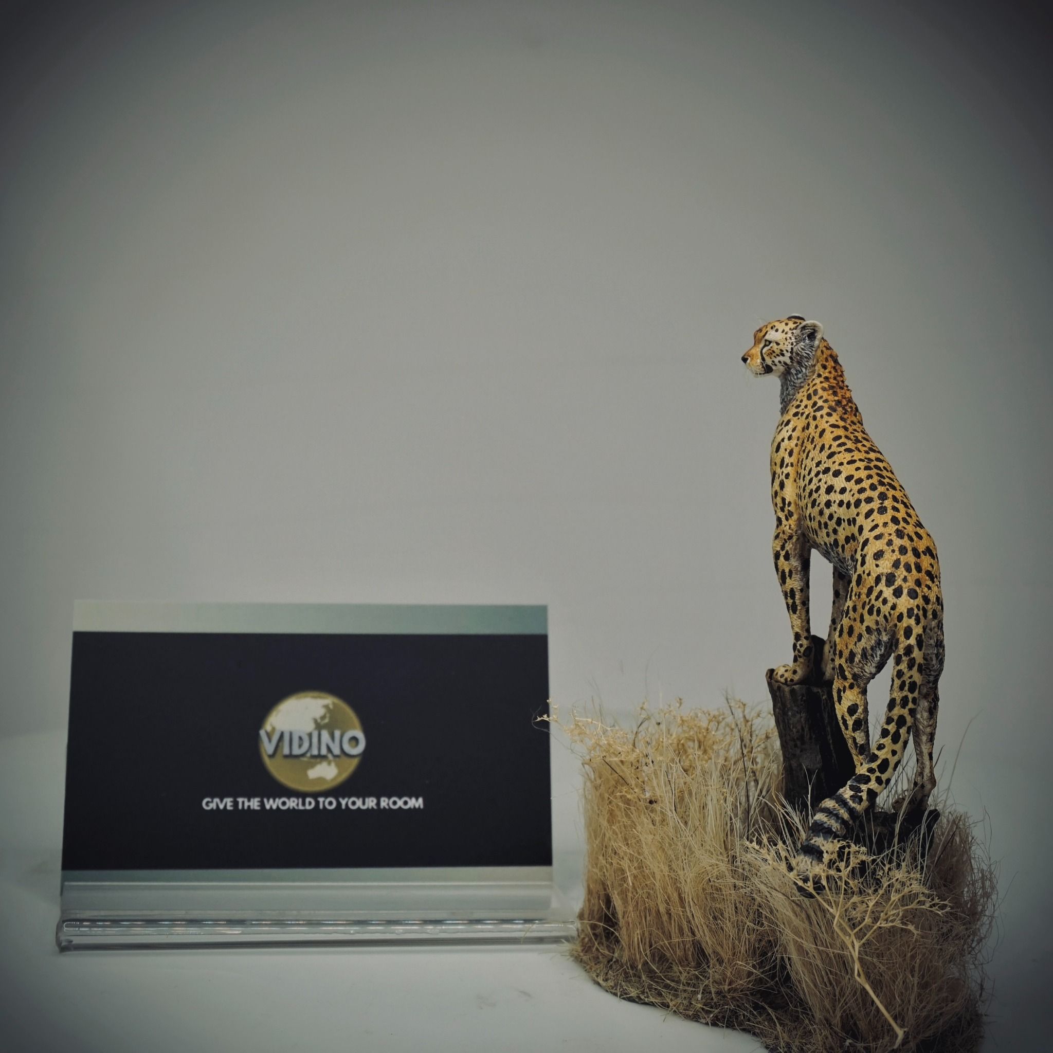  Mô hình động vật báo săn cheetah hãng wanshou 1/18. 