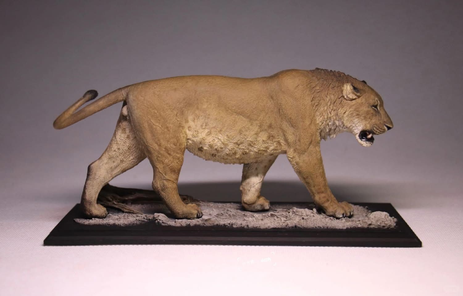  Mô hình động vật tiền sử sư tử mỹ- Panthera atrox De clay studio. 