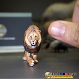  Mô hình động vật sư tử đực châu phi hunting studio tỷ lệ 1/35. 
