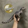 Mô hình khủng long giganotosaurus Nanmu Benxin 