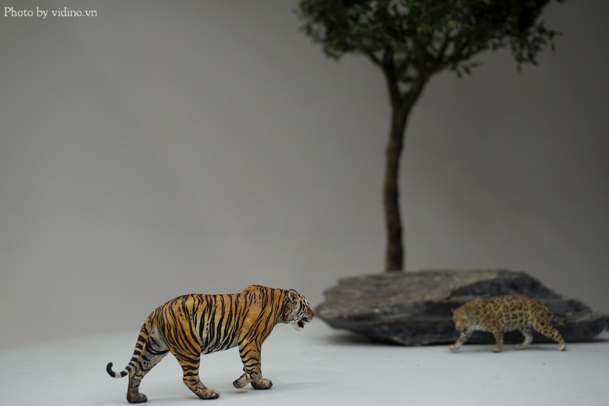  Mô hình động vật hổ Bengal hãng wanshou studio tỷ lệ 1/35. 