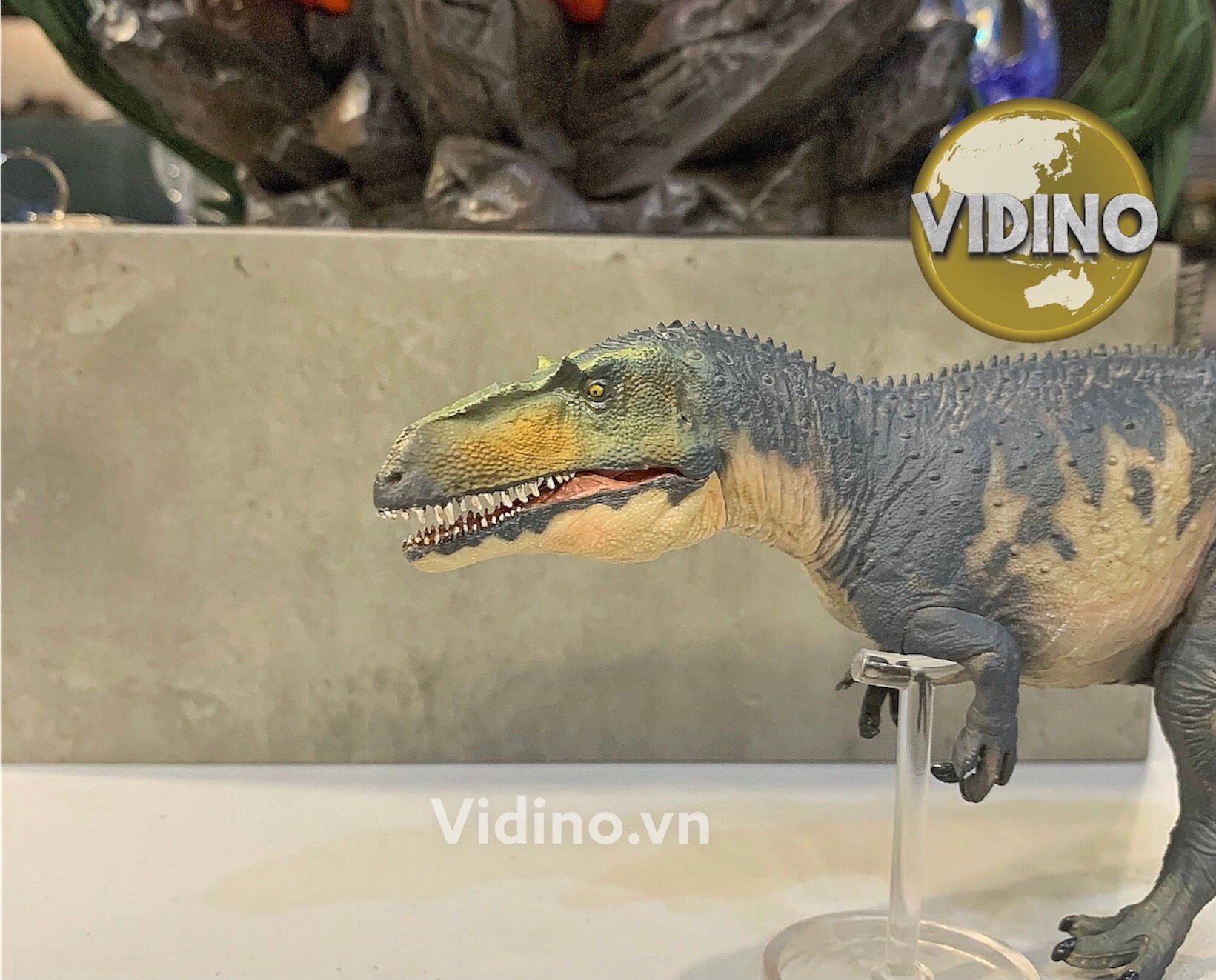  Mô hình Torvosaurus pnso studio chính hãng tỷ lệ 1:35 