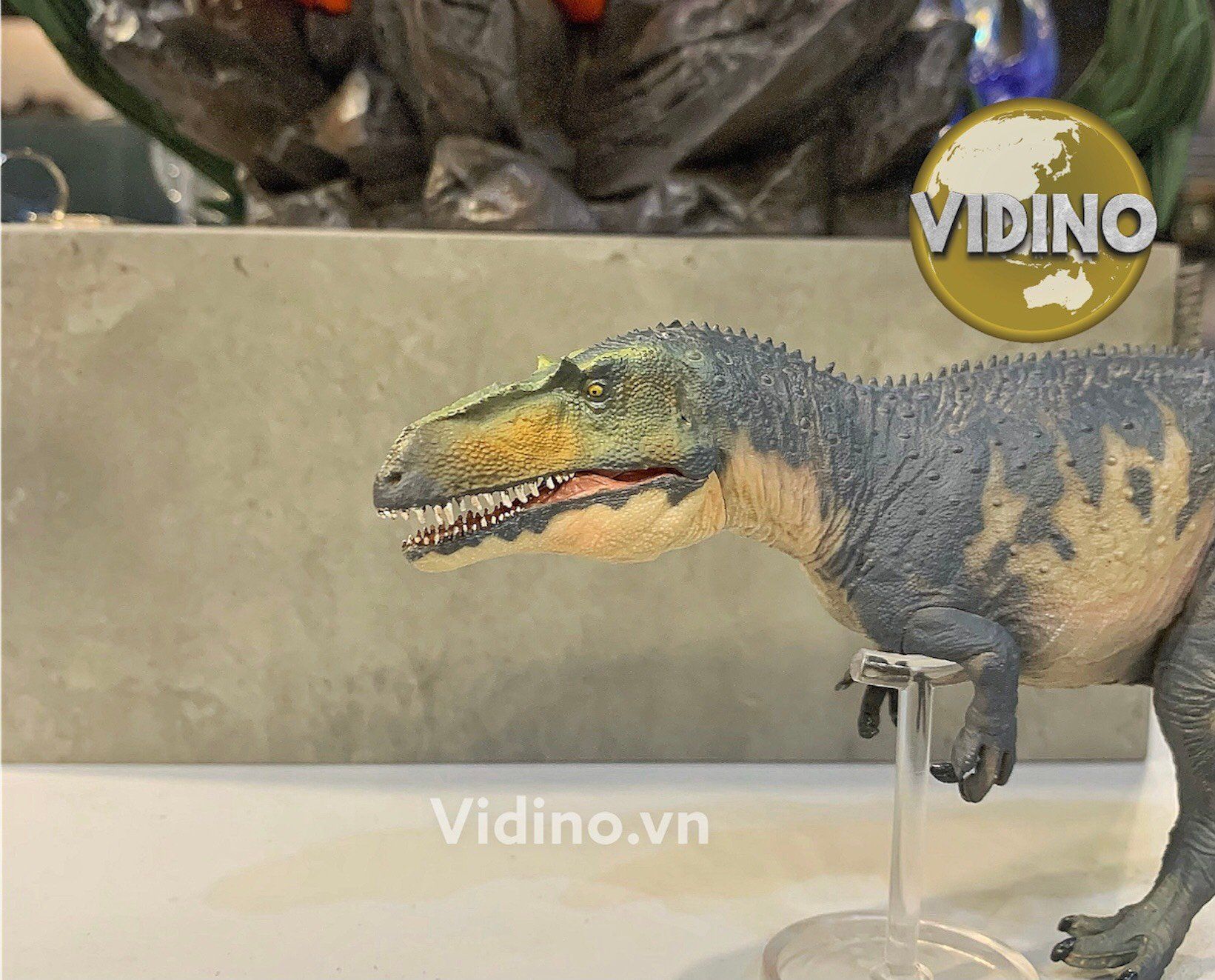  Mô hình Torvosaurus pnso studio chính hãng tỷ lệ 1:35 