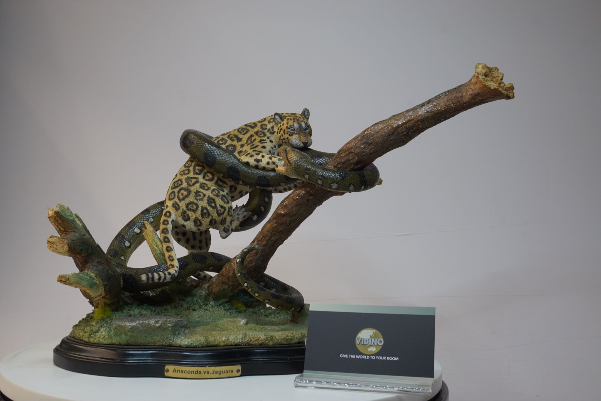  Mô hình động vật Anaconda vs Jaguars hãng K&P Studio tỷ lệ 1/6. 