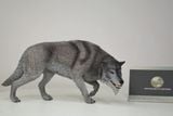  Mô hình động vật sói Dire wolf chính hãng Rebor 1/11. 