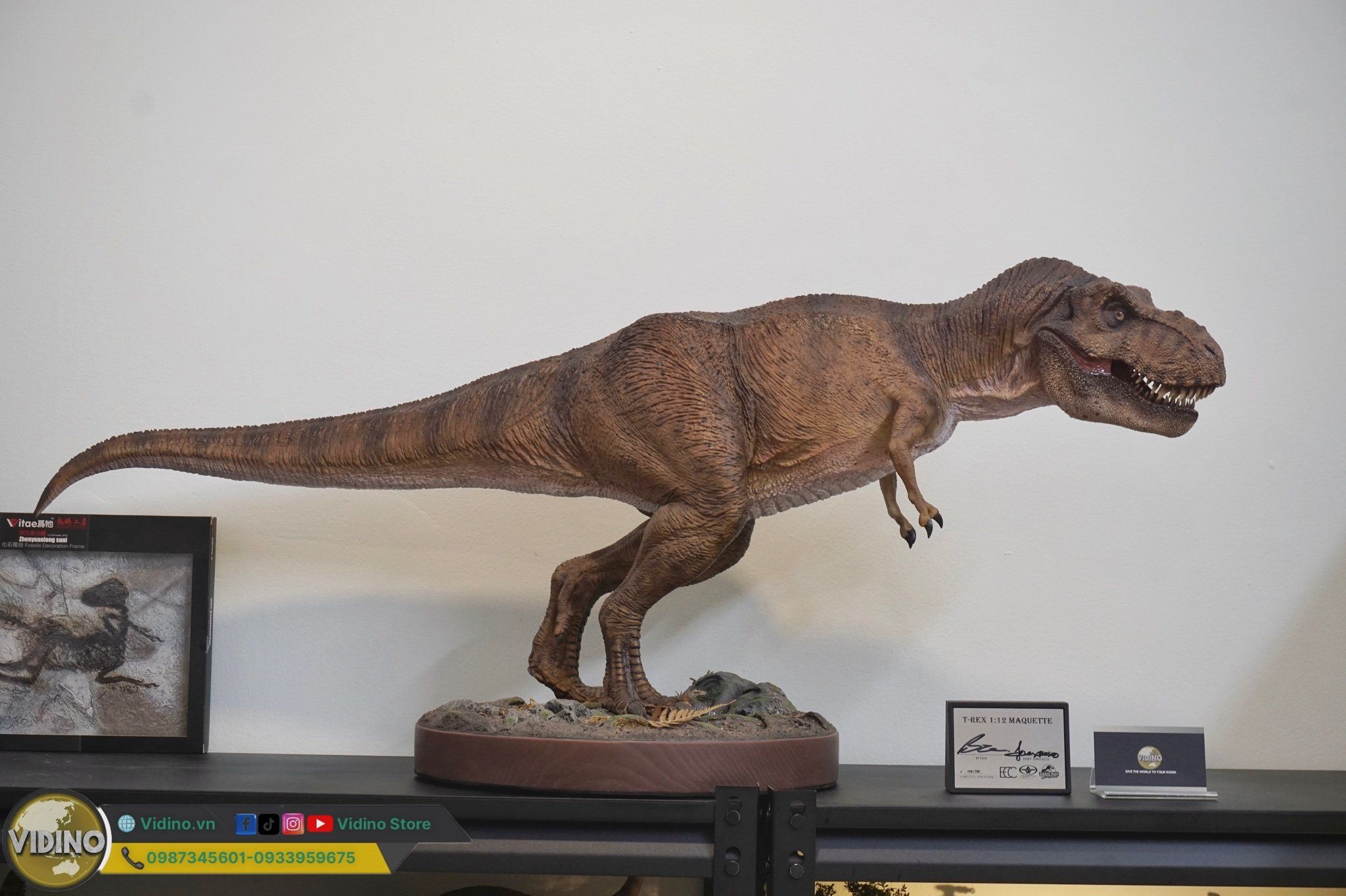  Mô hình Tyranosaurus rex ECC 1/12 studio Jurassic Park. 