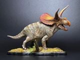  Mô hình khủng long Torosaurus declay studio. 