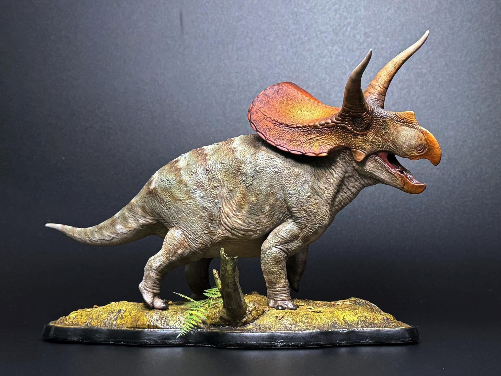  Mô hình khủng long Torosaurus declay studio. 