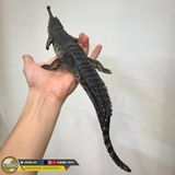  Mô hình động vật cá sấu ấn độ Gharial india hãng Crocs Man Studio tỷ lệ 1/12. 