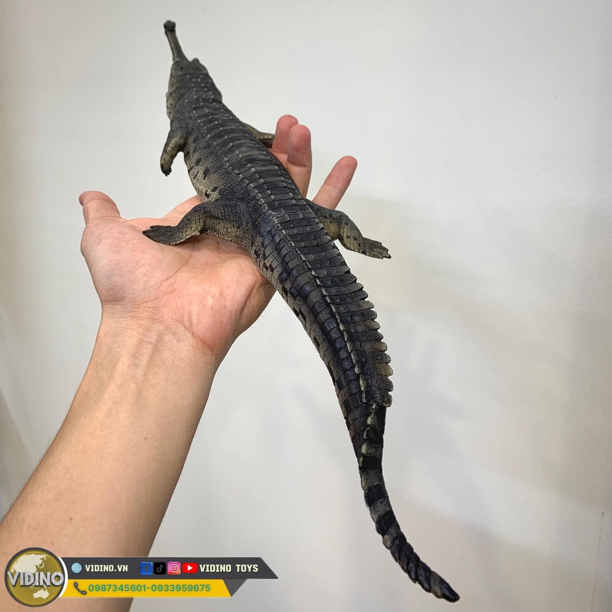  Mô hình động vật cá sấu ấn độ Gharial india hãng Crocs Man Studio tỷ lệ 1/12. 