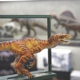  Mô hình khủng long velociraptor Dino Dream studio tỷ lệ 1/15  | 𝐕𝐈𝐃𝐈𝐍𝐎.𝐕𝐍. 