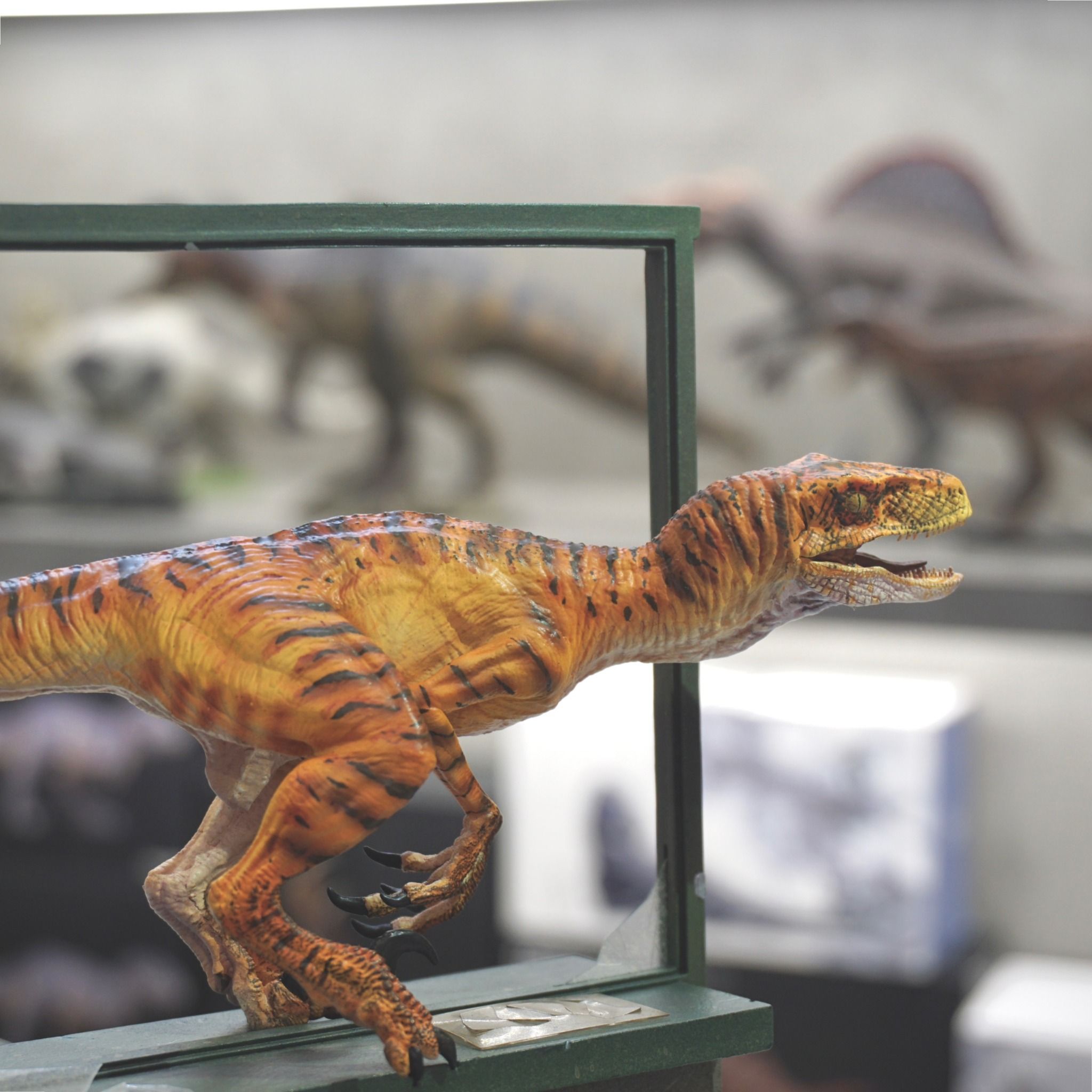  Mô hình khủng long velociraptor Dino Dream studio tỷ lệ 1/15  | 𝐕𝐈𝐃𝐈𝐍𝐎.𝐕𝐍. 