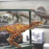  Mô hình khủng long velociraptor Dino Dream studio tỷ lệ 1/15  | 𝐕𝐈𝐃𝐈𝐍𝐎.𝐕𝐍. 