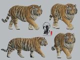  Mô hình động vật tiger siberia free exploration tỷ lệ 1/35. 