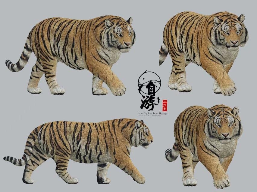  Mô hình động vật tiger siberia free exploration tỷ lệ 1/35. 