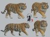 Mô hình động vật tiger siberia free exploration tỷ lệ 1/35.